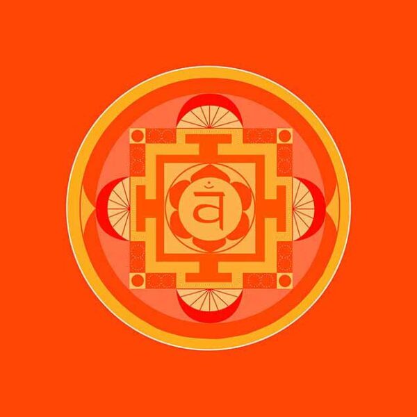 Die Blume des Lebens: Bedeutung und Wirkung